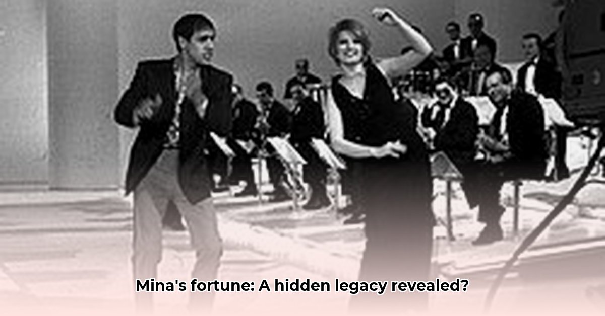mina-italian-singer-net-worth